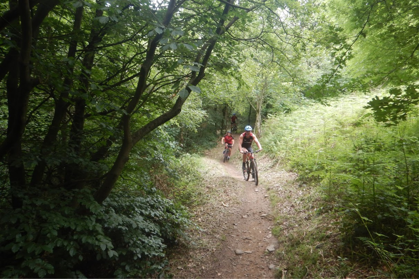 Caerphilly Adventures Dragons bikes distance