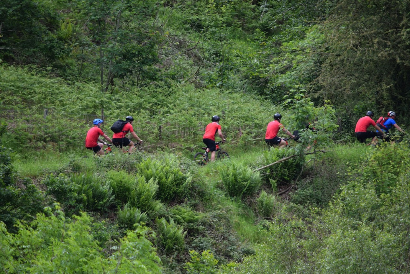 Caerphilly Adventures bikes in distance