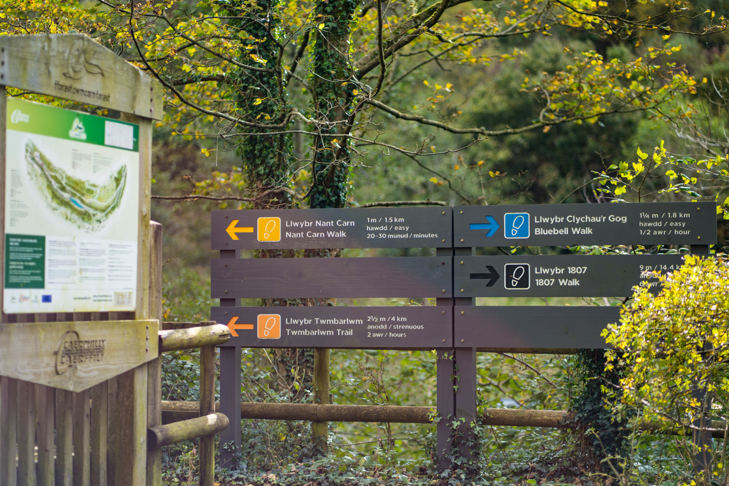 Cwmcarn Forest walks sign